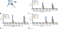 K-Ras_neoantigen