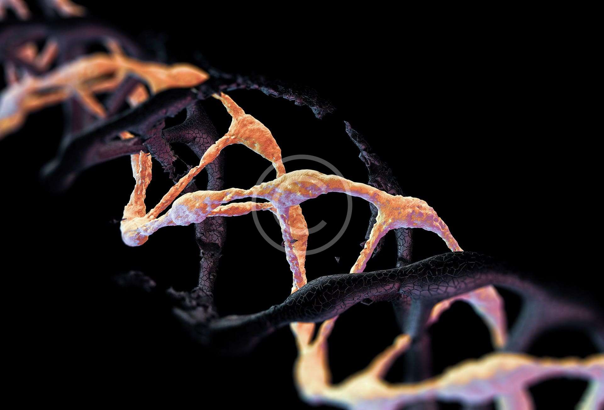 Pan-Cancer Screening