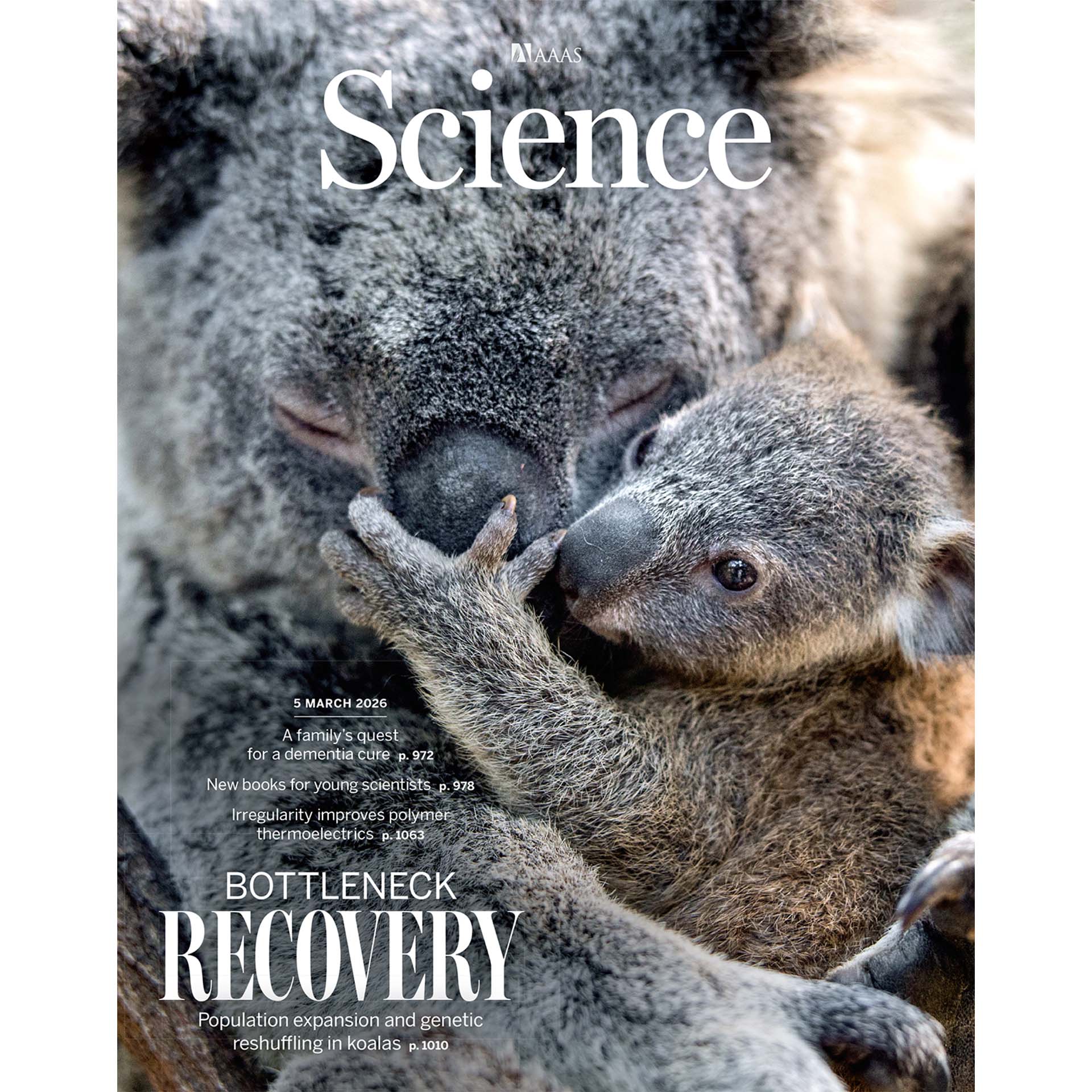 Science [Accepted]. 2026 March Severe Obesity in Human HFpEF Alters Contractile Protein Function and Organization.