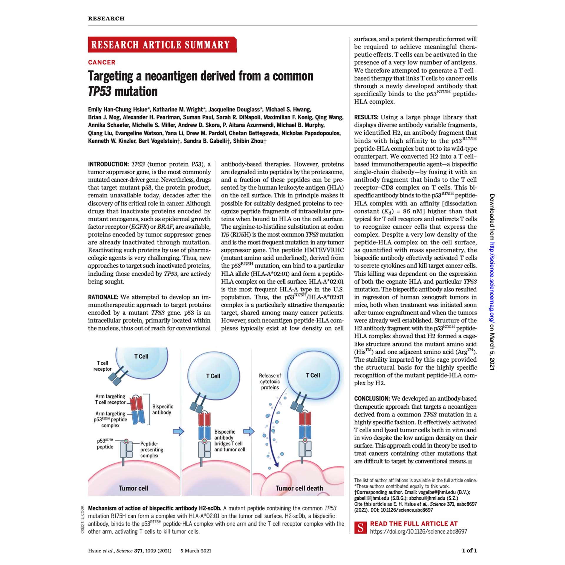 Science. 2021 Mar5; 371(6533): eabc8697. Targeting a neoantigen derived from a common TP53 mutation. 
